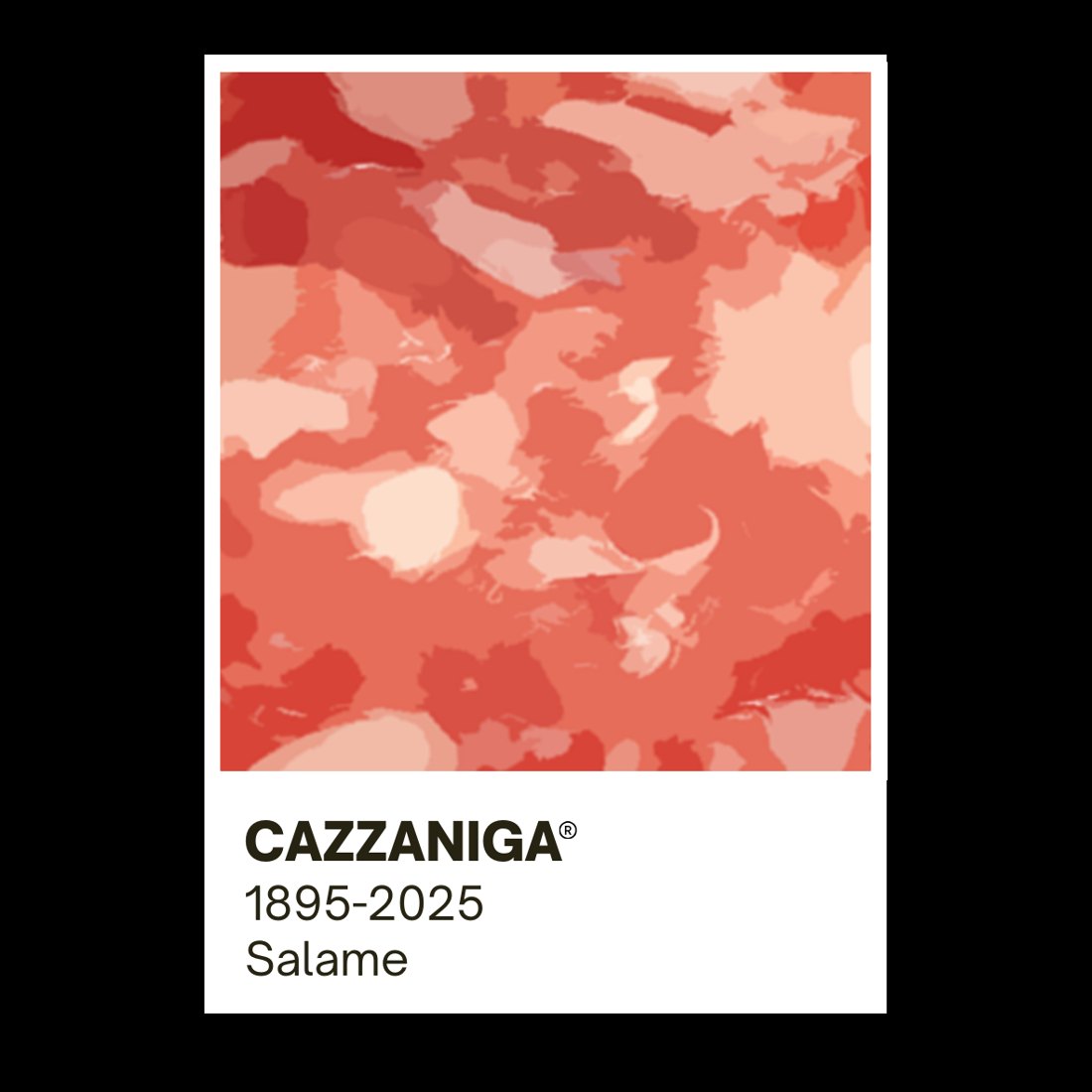 Sticker in stile Pantone: la texture del salame come campione colore, Cazzaniga 1895-2025